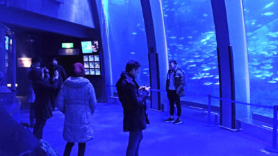 Taking pictures in front of the large aquarium