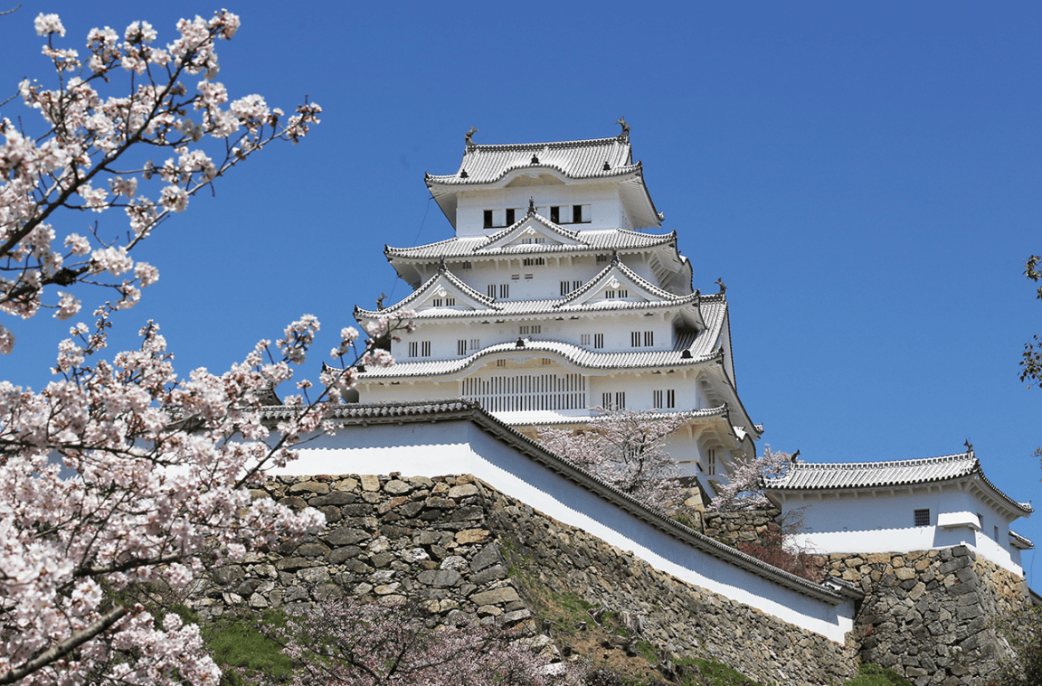 Multicultural EXPO 2019 /Himeji city | Food Diversity.today