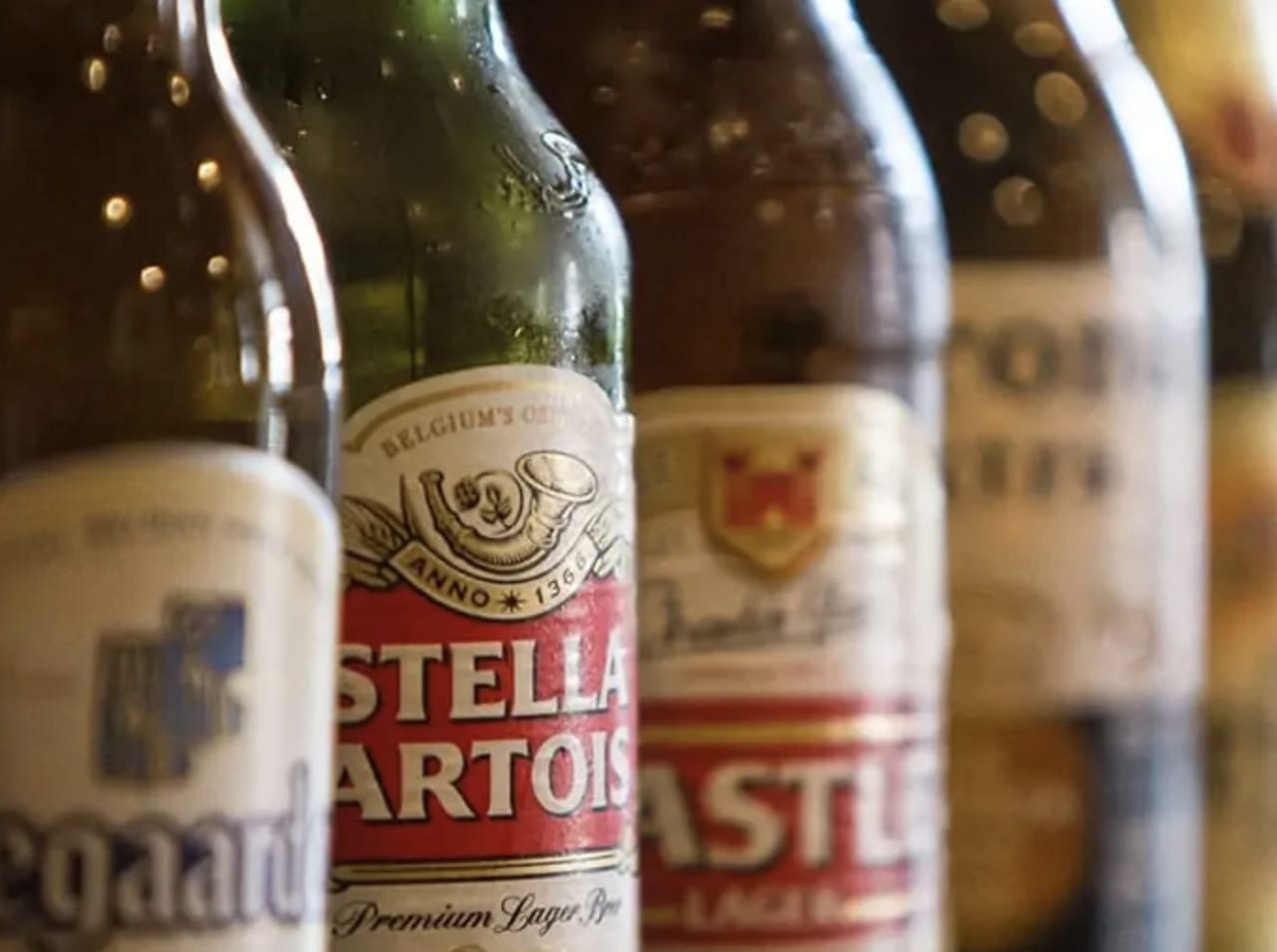 海外ベジニュース Vol45 世界最大のビール会社、使用済みの穀物を代替タンパク質にアップサイクル | Food Diversity.today