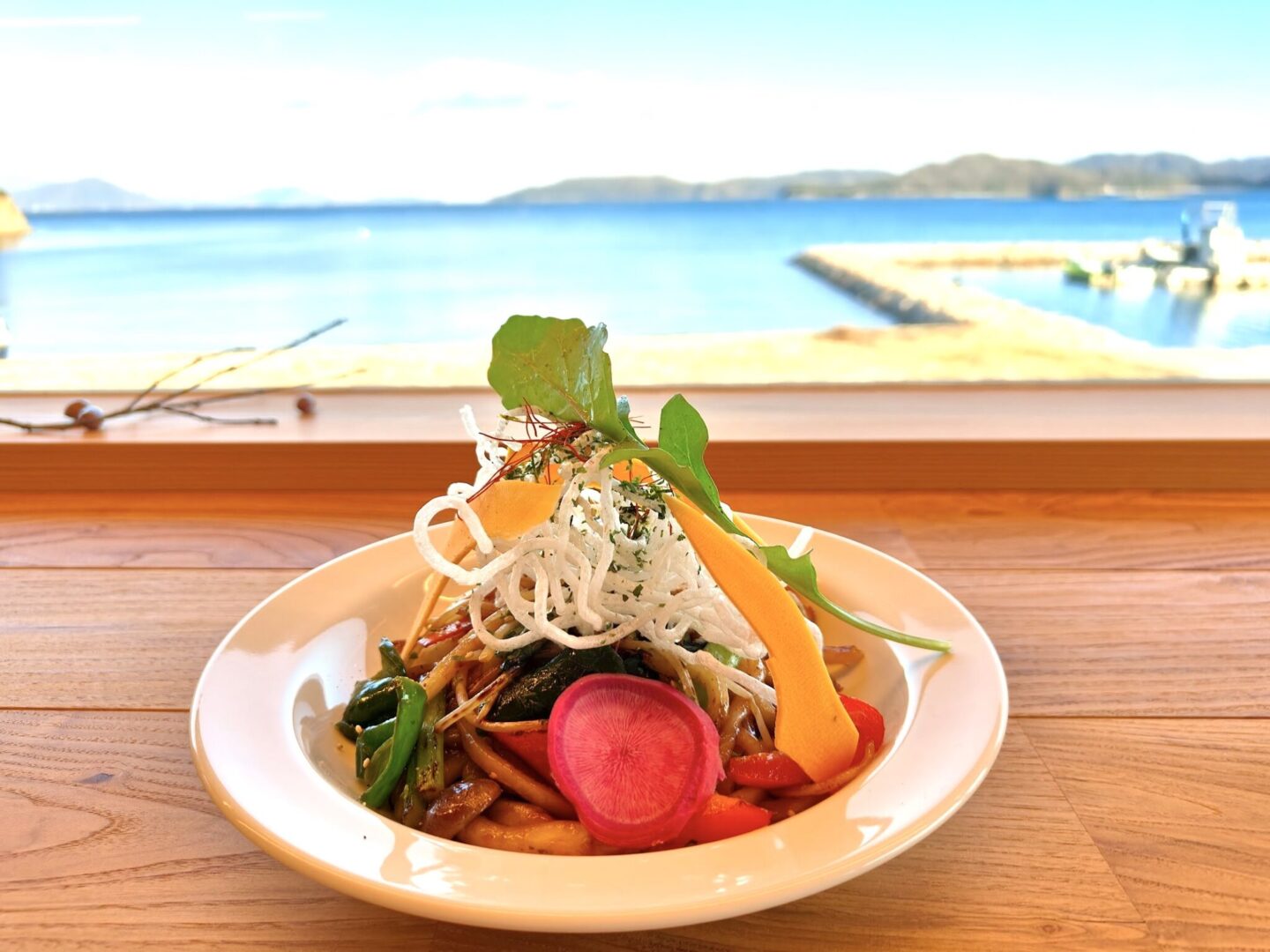 VEGAN-SANUKI-UDON-KAGAWA-